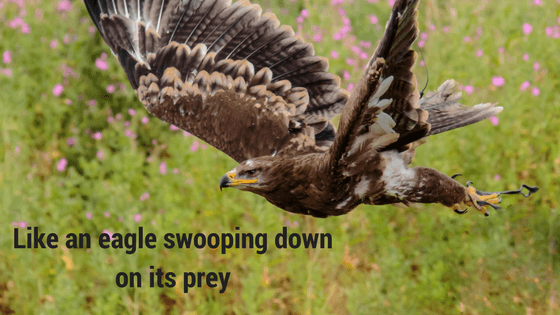 An eagle above the text “Like an eagle swooping down on its prey”